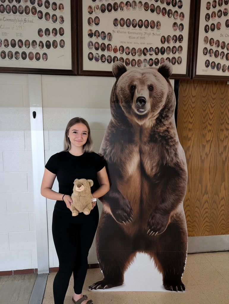 Fat Bear Contest