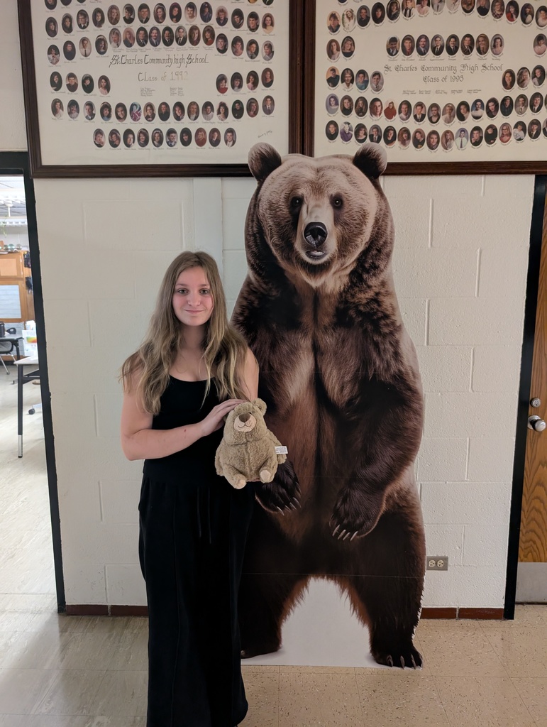 Fat Bear Contest