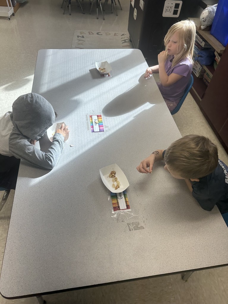 Young 5s pumpkin learning