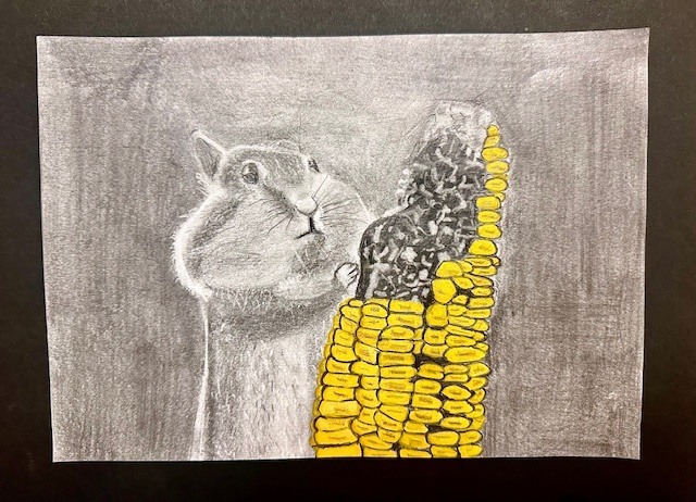 Emphasis project and Kaleidoscope photography assignments