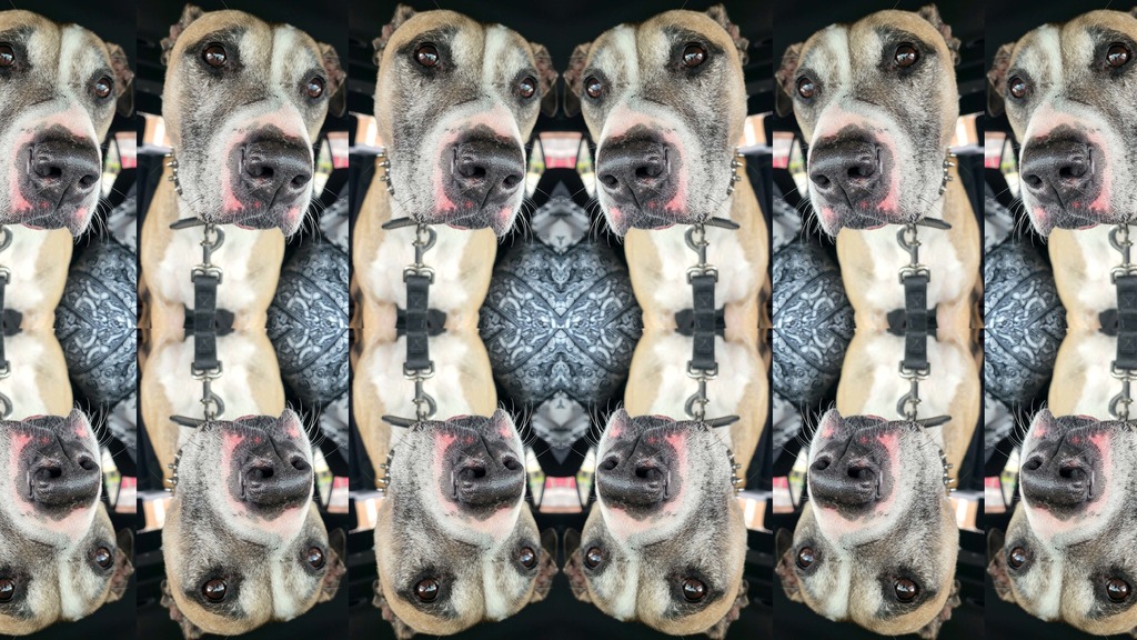 Emphasis project and Kaleidoscope photography assignments