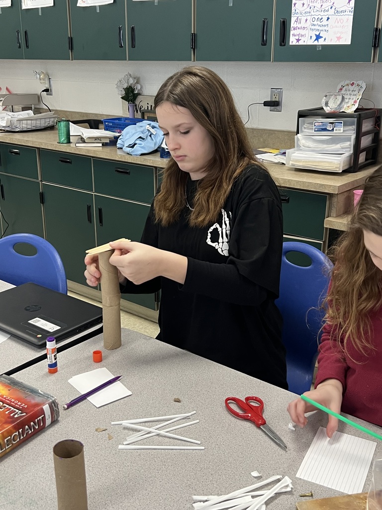 Stem Through Literature Activity