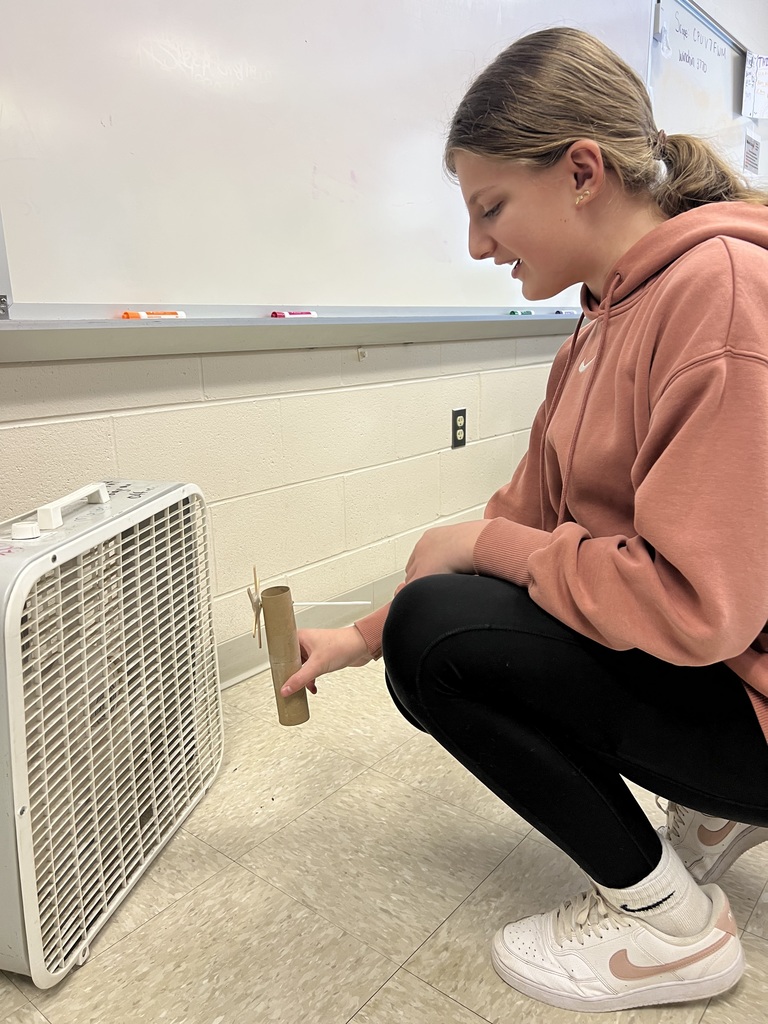 Stem Through Literature Activity