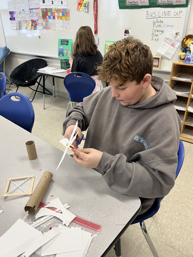 Stem Through Literature Activity