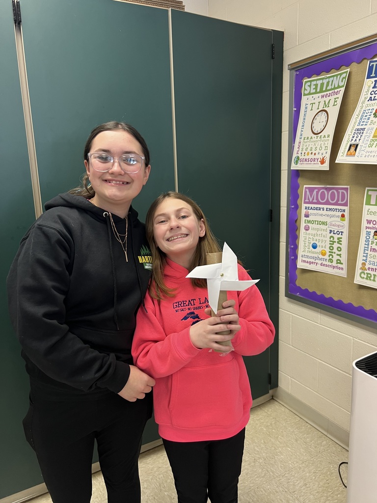 Stem Through Literature Activity