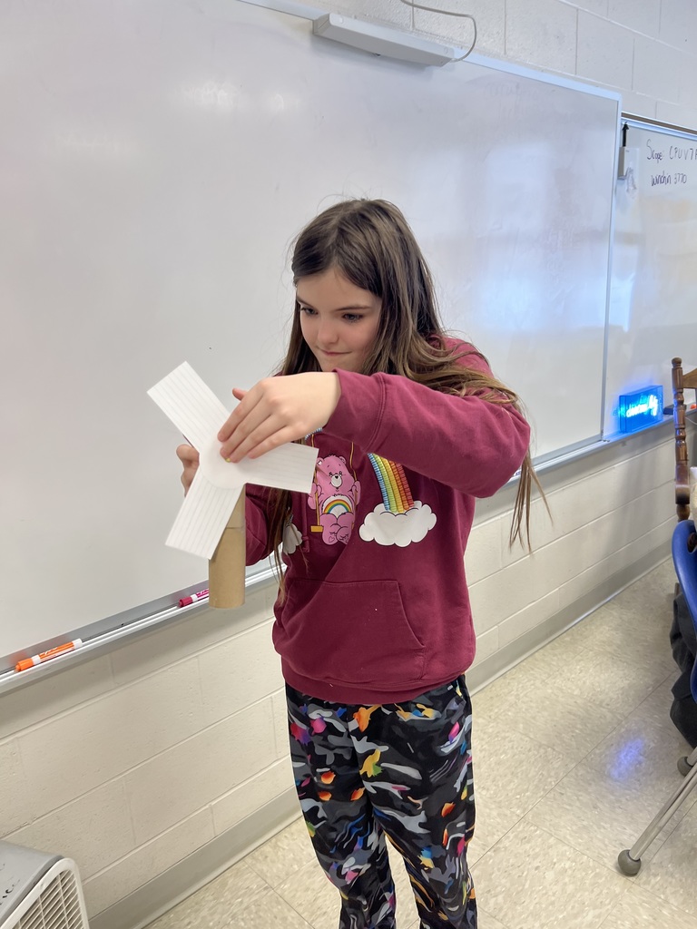 Stem Through Literature Activity