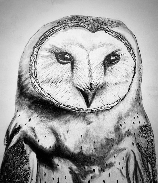 SVSU High School Art Show