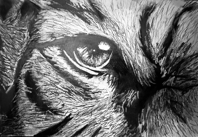 SVSU High School Art Show