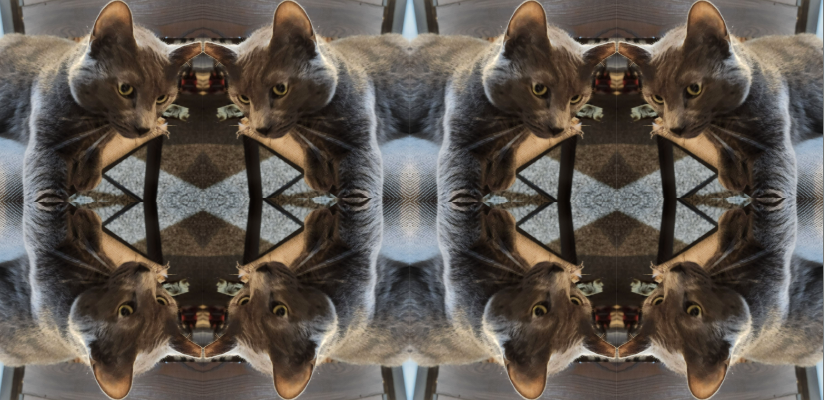 SVSU High School Art Show