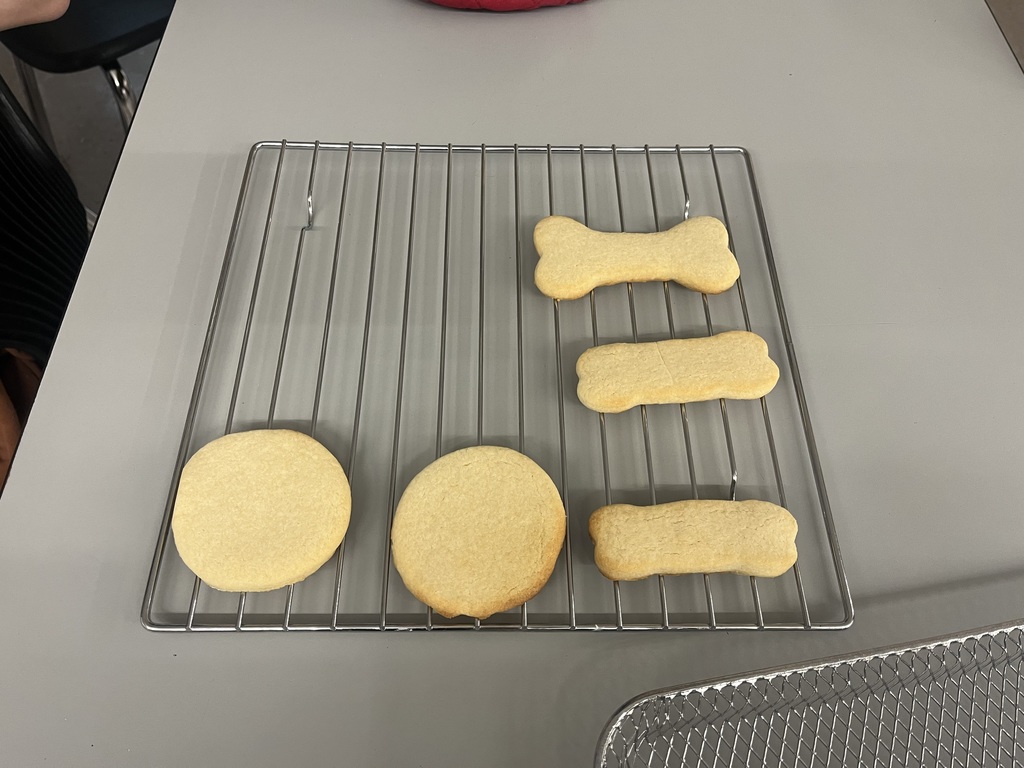 Sugar Cookie Baking Day