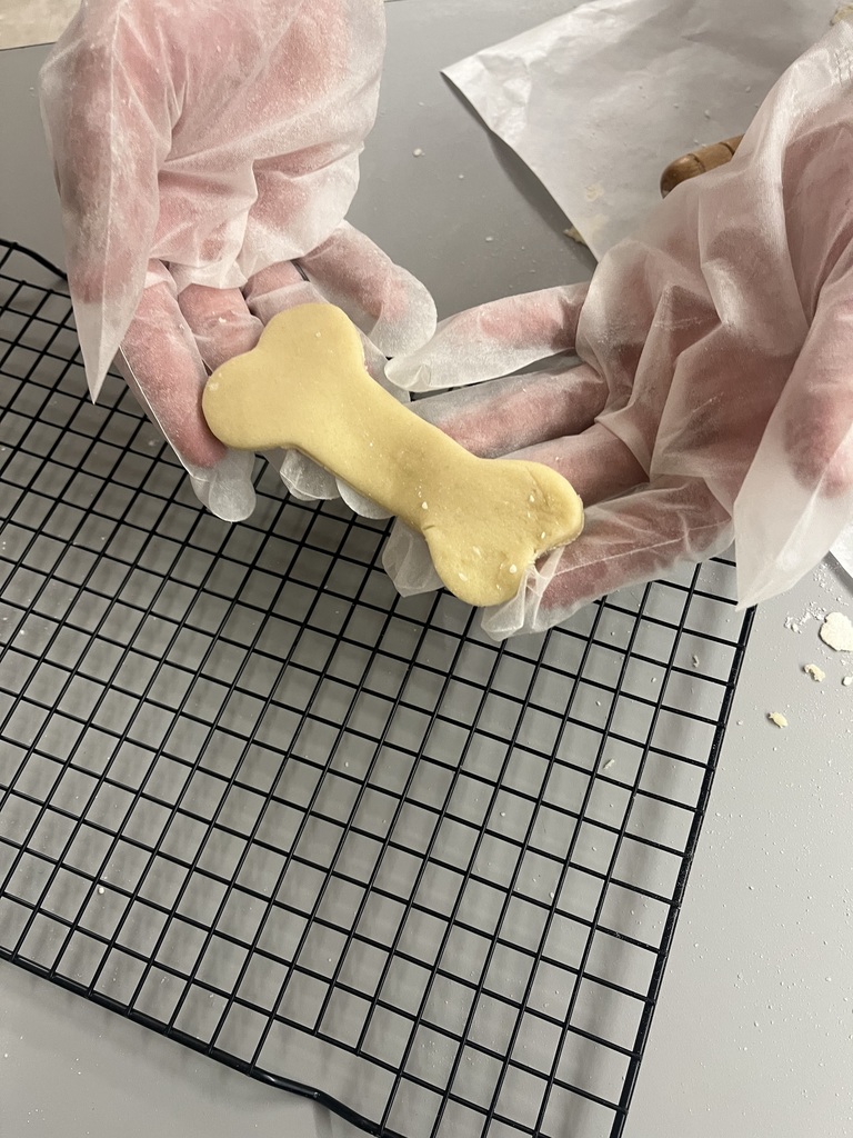 Sugar Cookie Baking Day