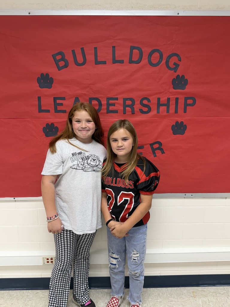 Bulldog Slip Winners