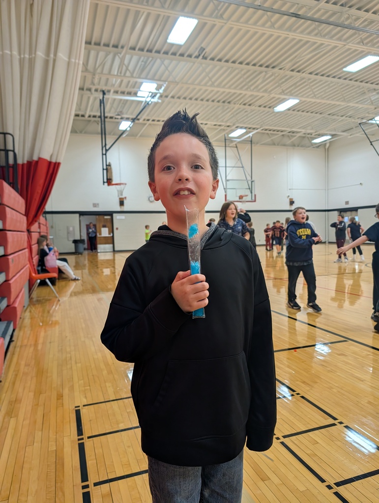 MS Fun