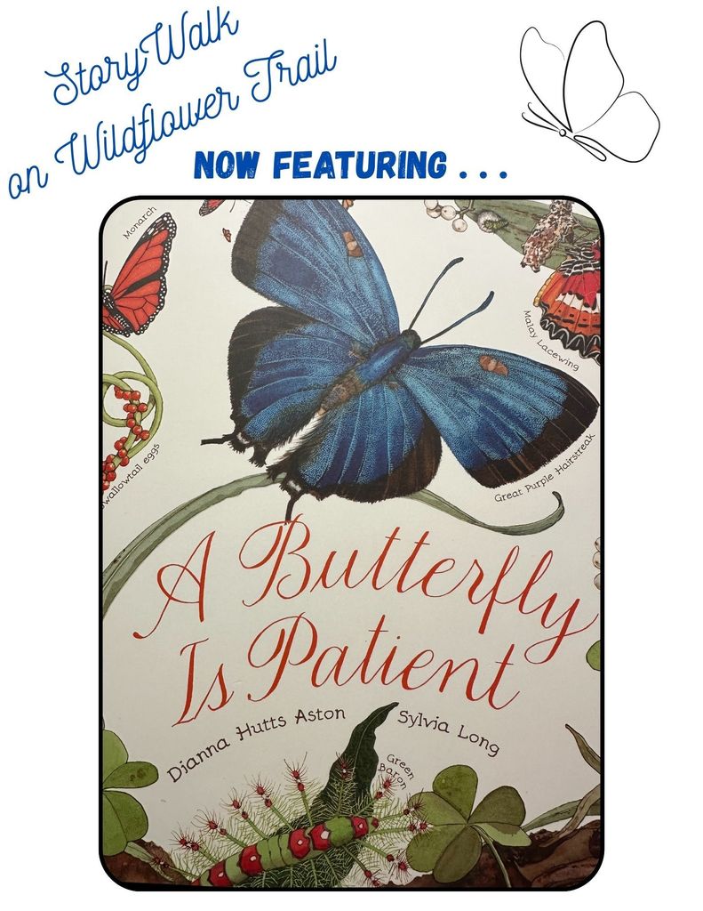 Cover of the book, "A Butterfly Is Patient" with text reading, "StoryWalk on Wildflower Trail."