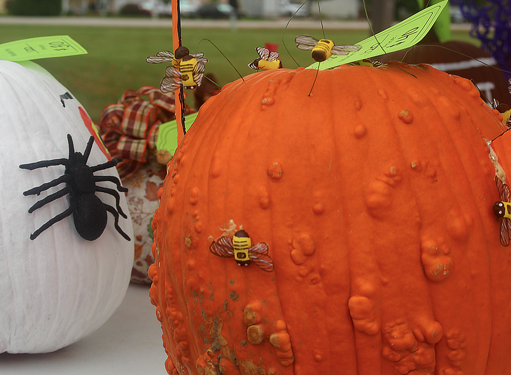 Decorated pumpkins for sale 