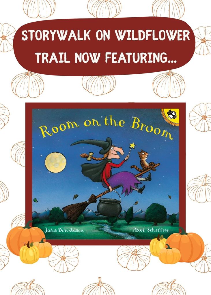 Cover of the book, Room on the Broom, with text reading "StoryWalk on Wildflower Trail now featuring" 