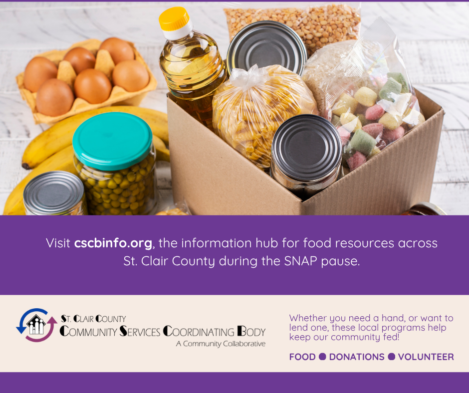 Photo of grocery items in a cardboard box with text reading, "Visit cscbinfo.org, the information hub for food resources across St. Clair County during the SNAP pause.