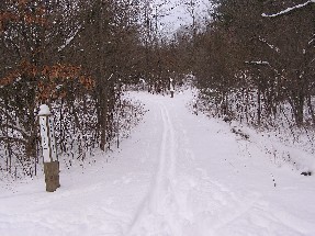 Nature Center trail in the snow