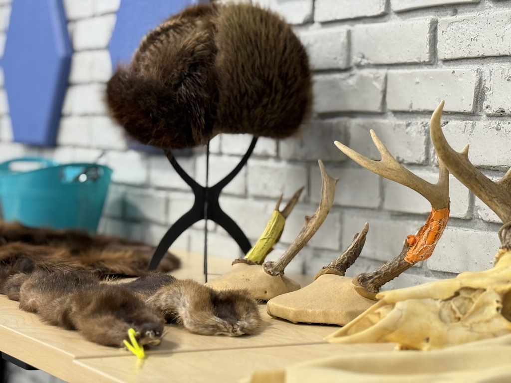 Animal pelts, a fur hat, and antlers on display