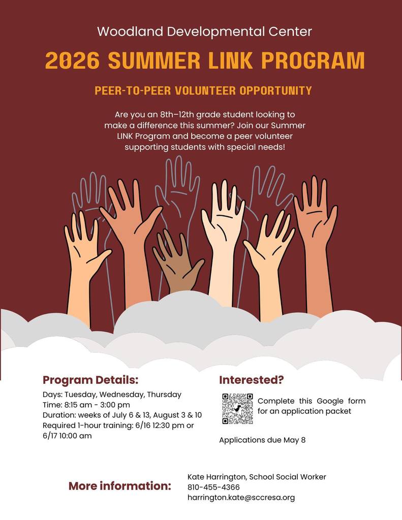 LINK Program flyer