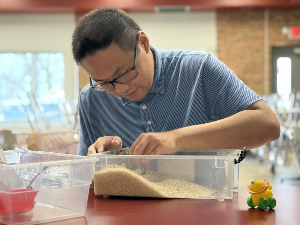 A student leans over a bin of rice, using their hands to search and explore objects inside. 