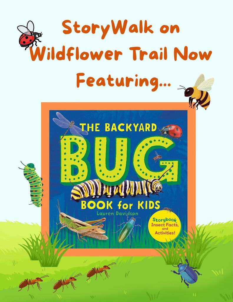 Cover of the book "The Backyard Bug Book for Kids" by Lauren Davidson with text reading "Storywalk on Wildflower Trail featuring..."