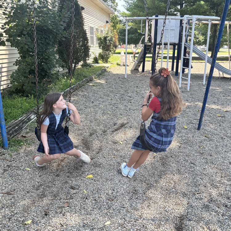 swings
