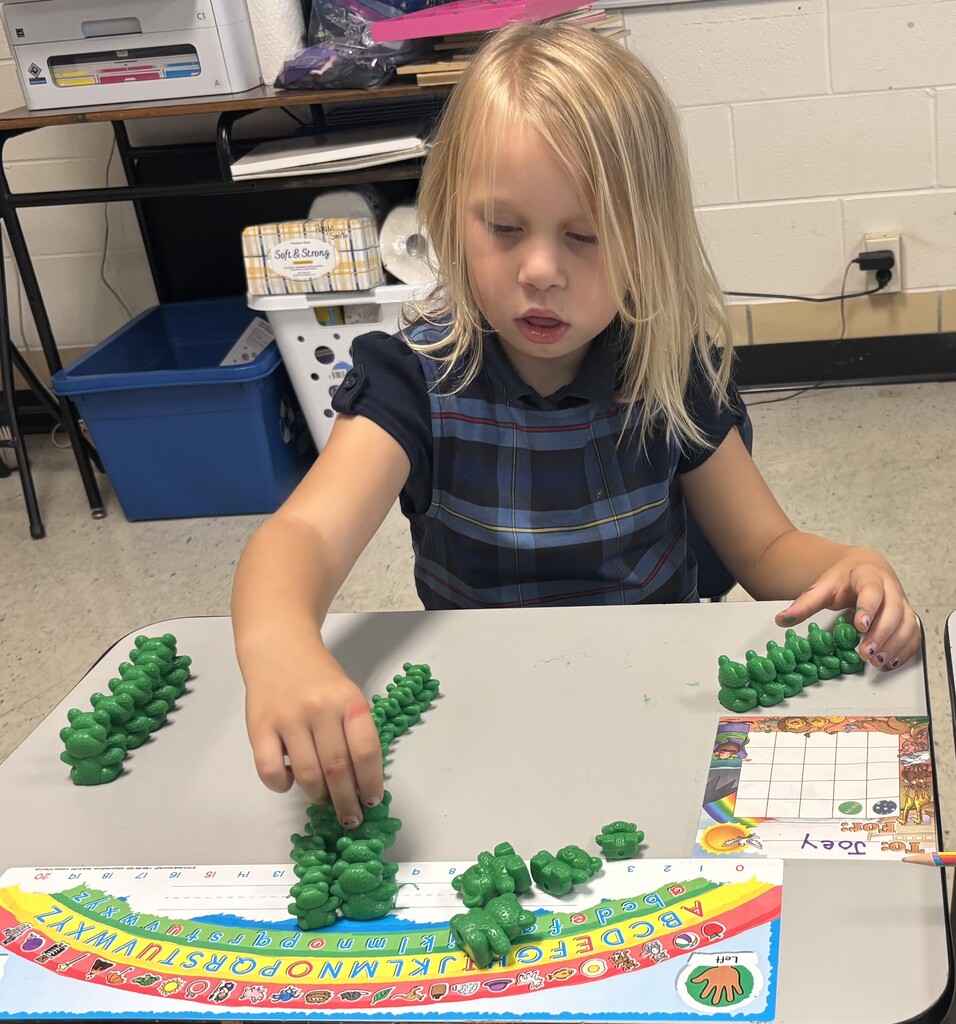 Student sorting and counting
