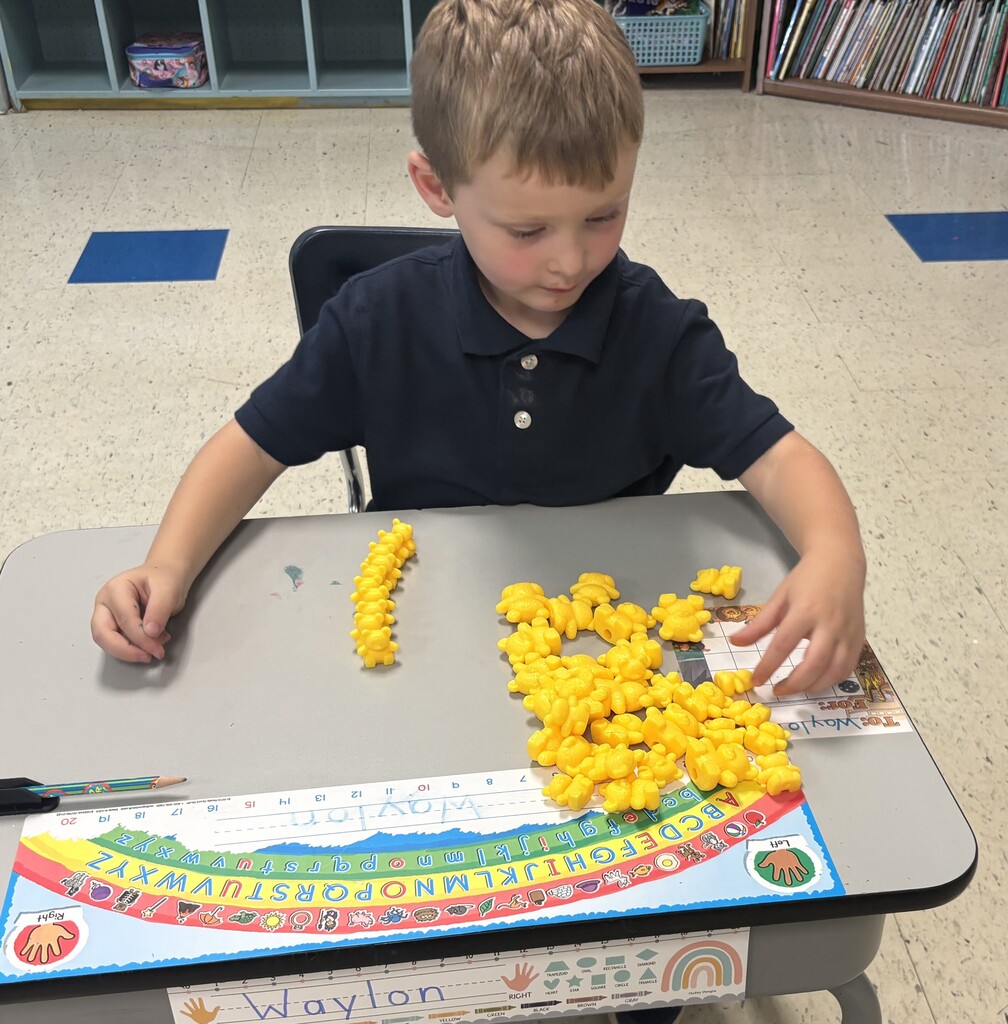 Boy sorting and counting yellow bears