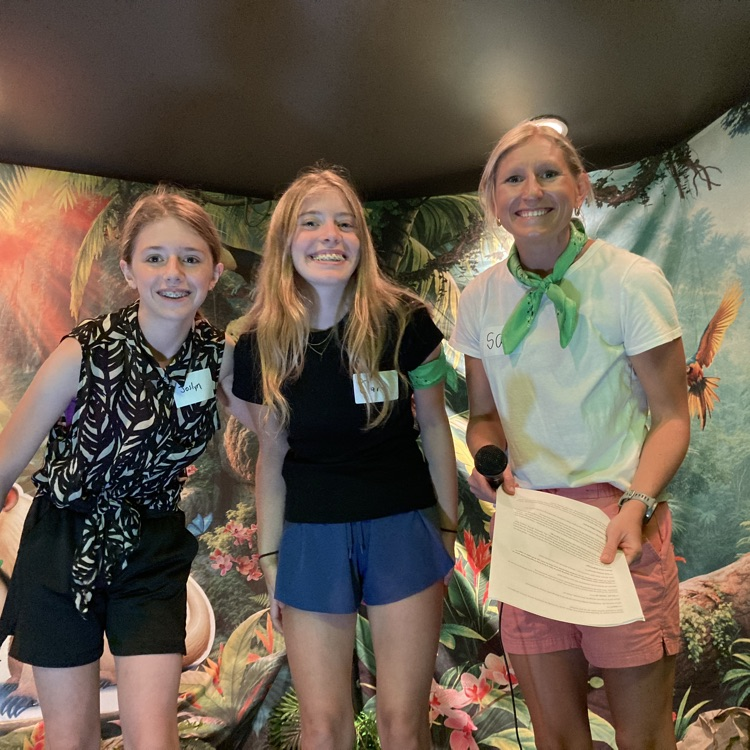 vbs1