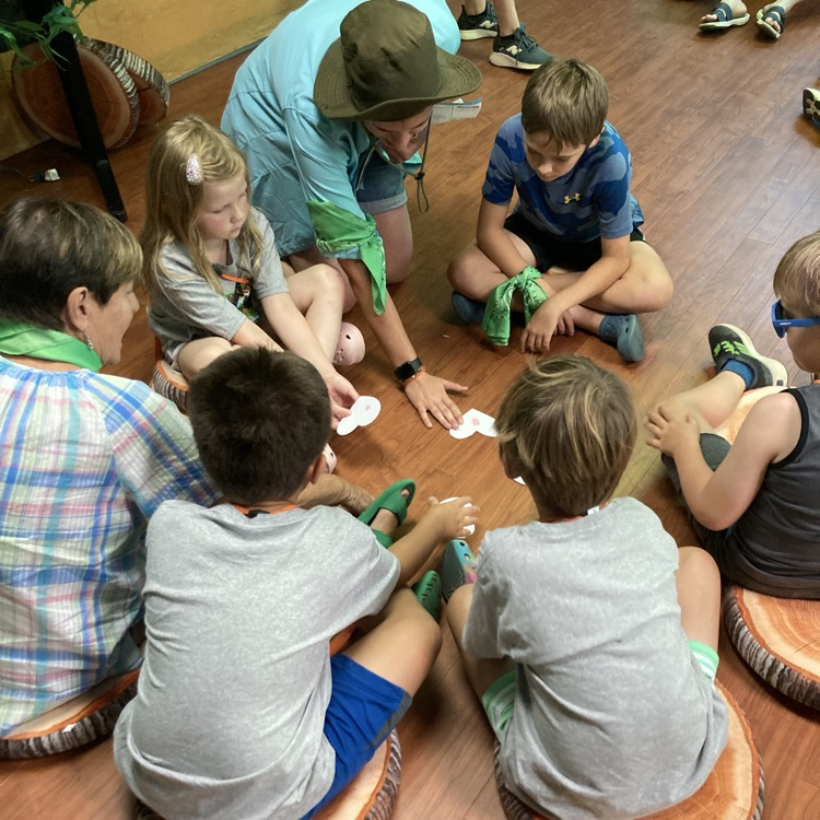 vbs2