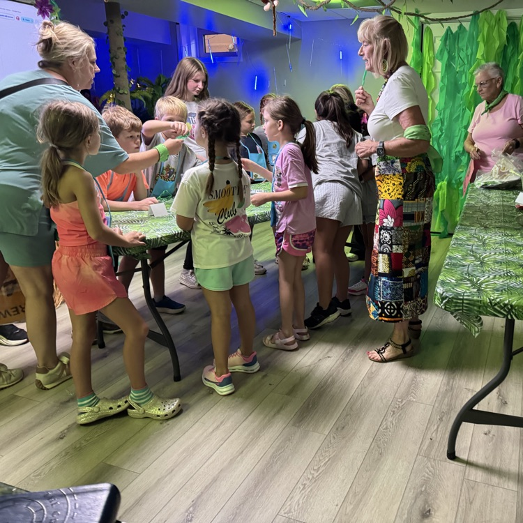 vbs3
