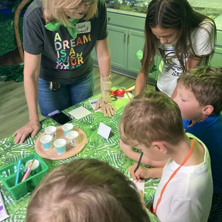 vbs4