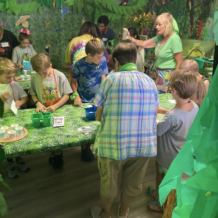 vbs6