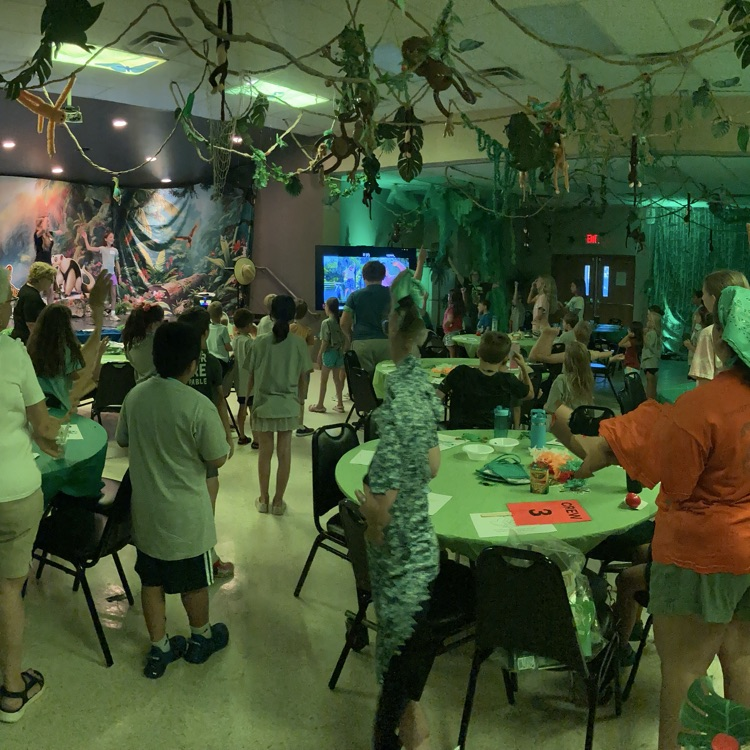 vbs8