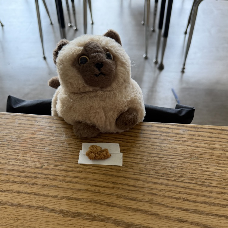 stuffy eats snack