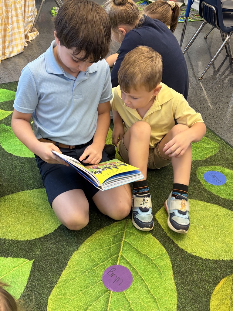 Older students read picture books with preschool students during Brave Buddies, sharing time together in the classroom and building friendships through reading.