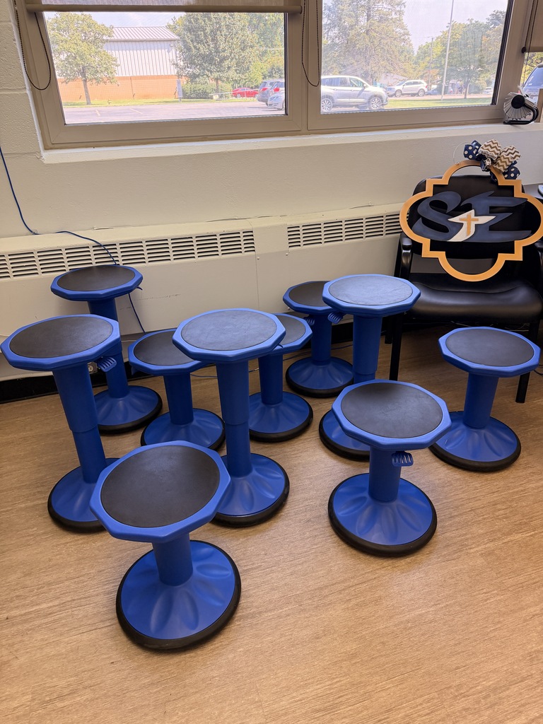 flexible seating stools for our students!