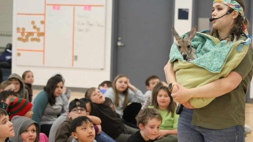 kids looking at a baby kangaroo