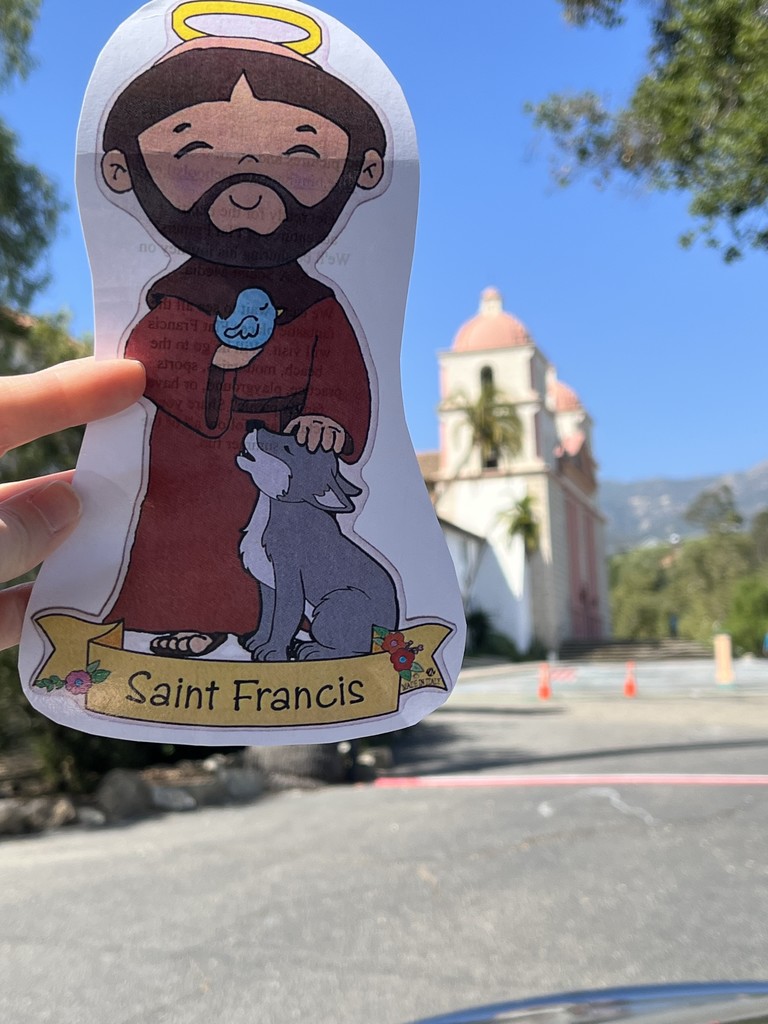 Flat Francis 25-26