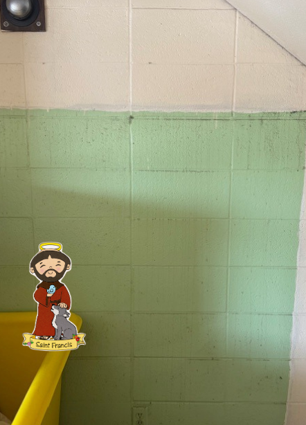 Flat Francis 25-26