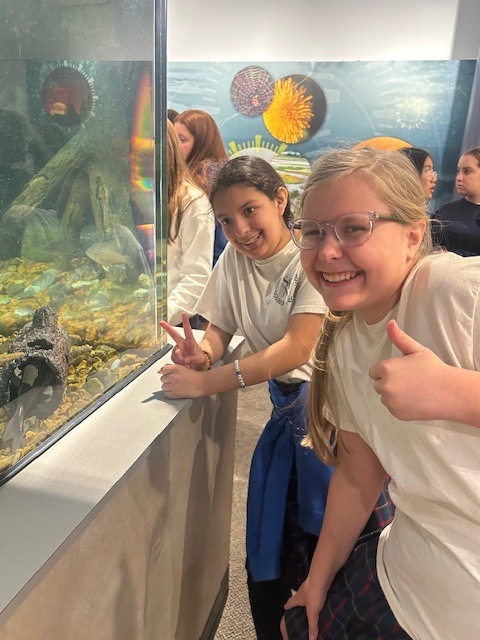 Catholic Connections 