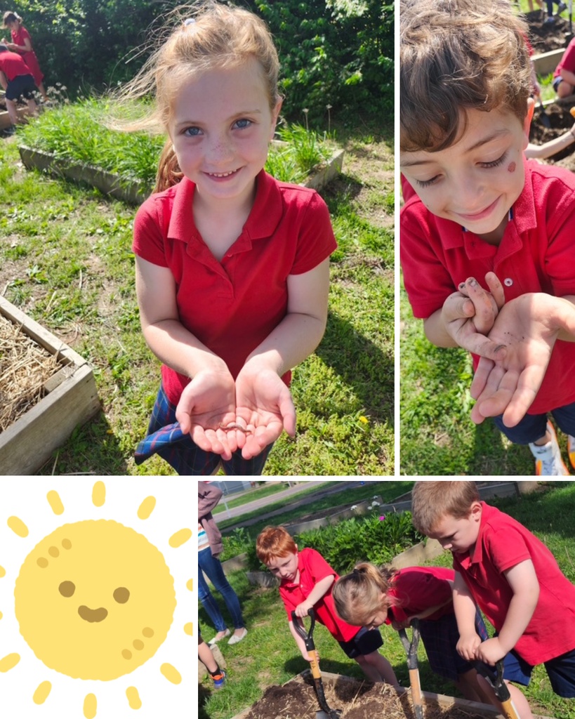SFA Kindergarten