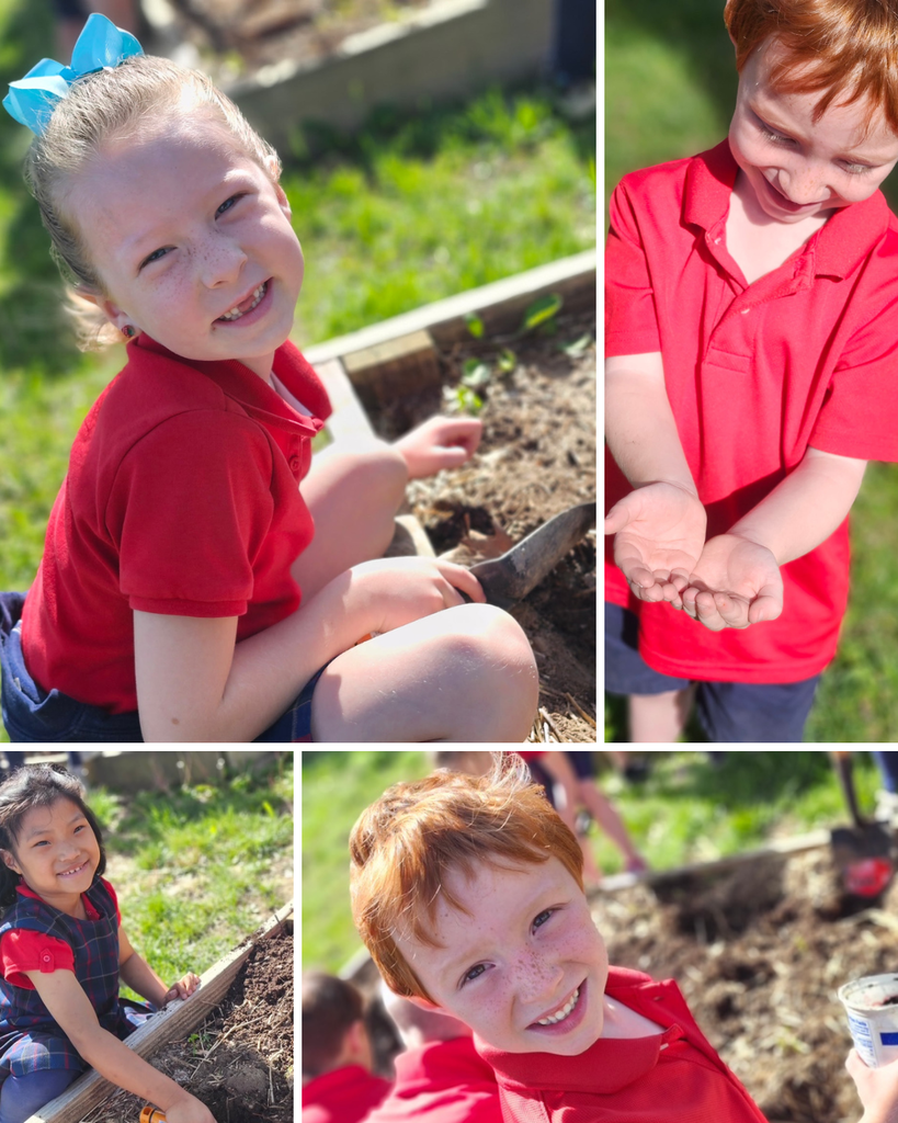 SFA Kindergarten