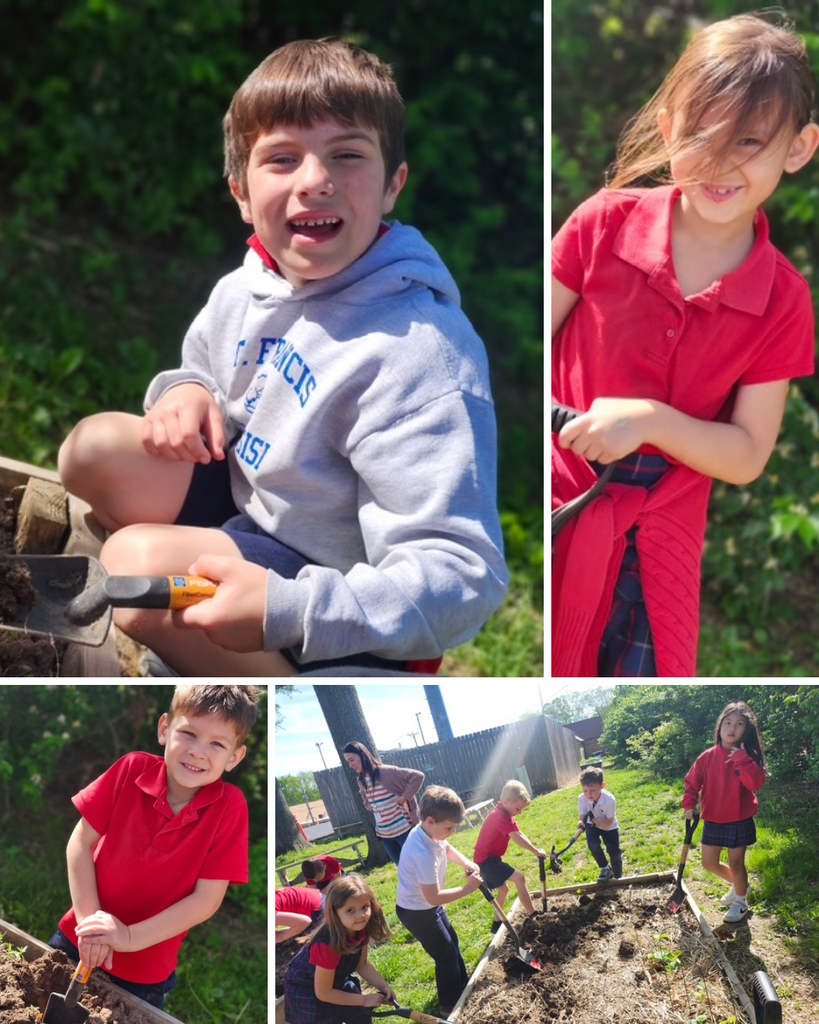 SFA Kindergarten