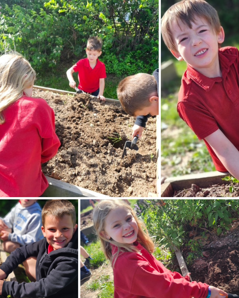 SFA Kindergarten