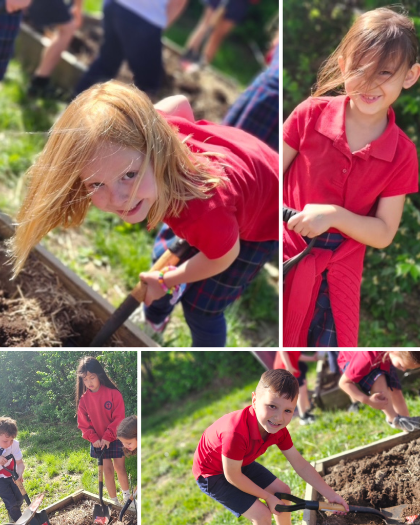 SFA Kindergarten