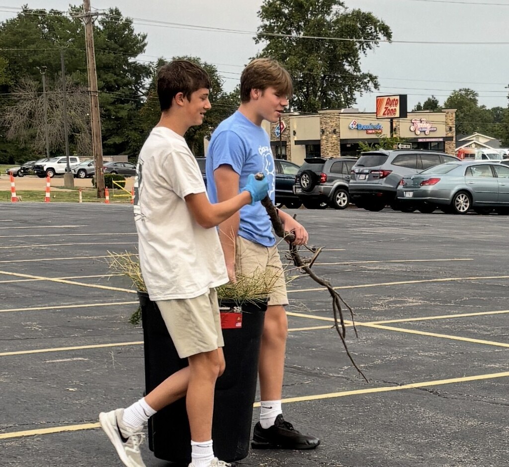 SFA Catholic Connections