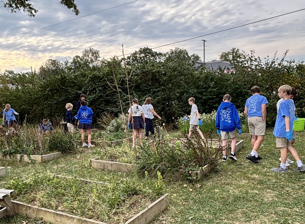 SFA Catholic Connections