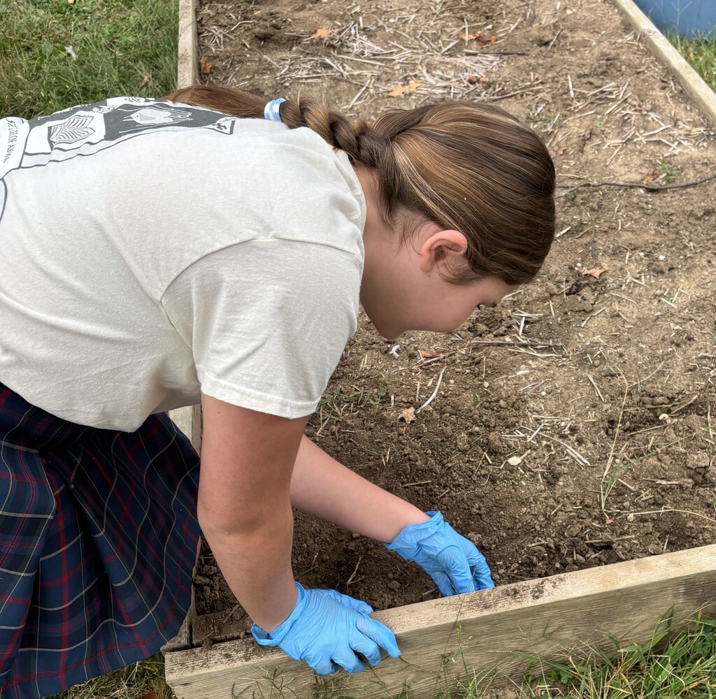 SFA Catholic Connections